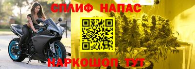 PSILOCYBIN Боровичи